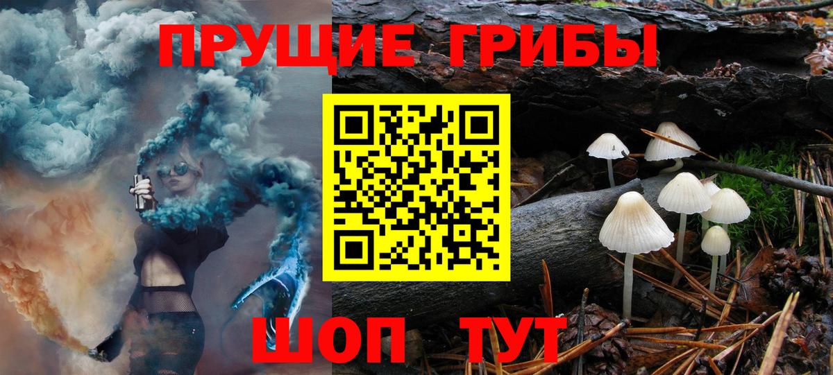 Псилоцибиновые грибы мицелий Сарапул