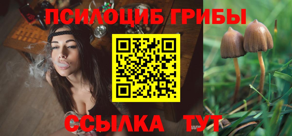 Галлюциногенные грибы Psilocybine cubensis  Сарапул 